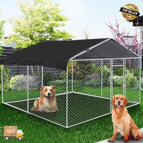 Outdoor pet dog - outdoor, run
