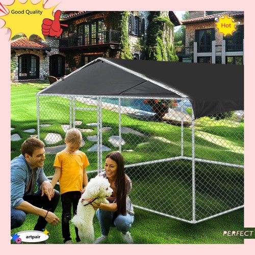 6 outdoor pet dog - 6',
