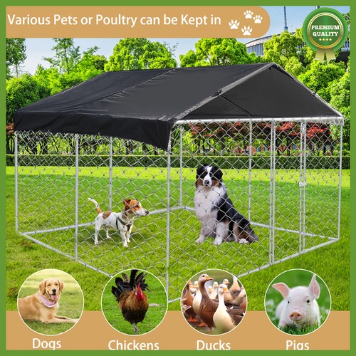 10ftx10ft pet dog - dog, kennel