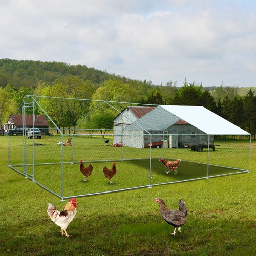 10ft outdoor kennel pet - kennel,