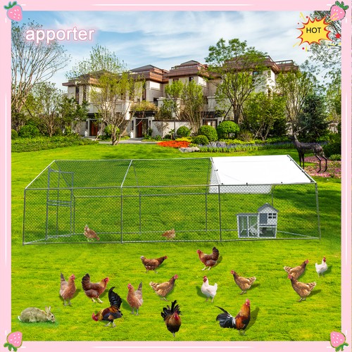 20x10ft outdoor pet - pet, dog