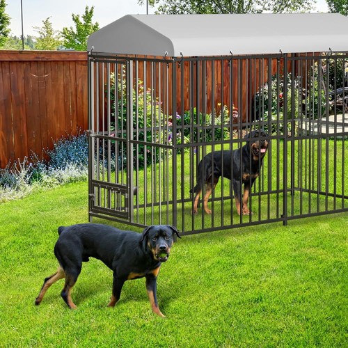 Large outdoor pet - large,