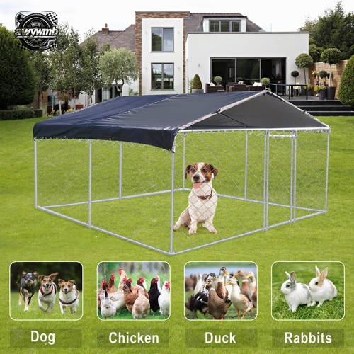 X10 outdoor pet dog run - outdoor,