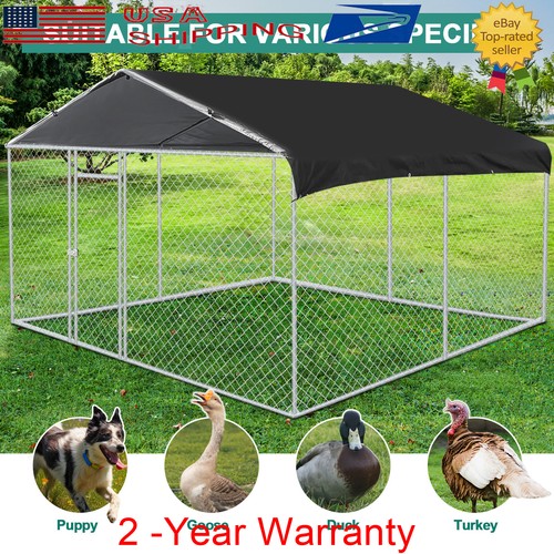 10x10 pet dog run - 10x10,