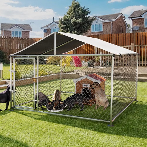 5x7 5ft outdoor - outdoor, dog