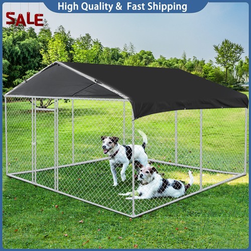 Outdoor pet dog run - dog,