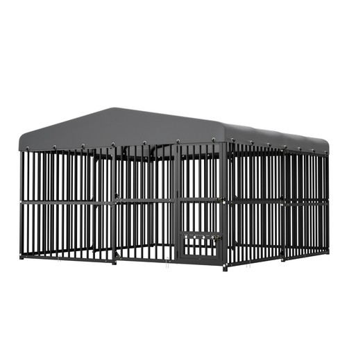 Outdoor pet dog - outdoor, run
