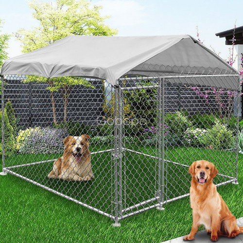 Outdoor pet dog duck rabbit - duck,