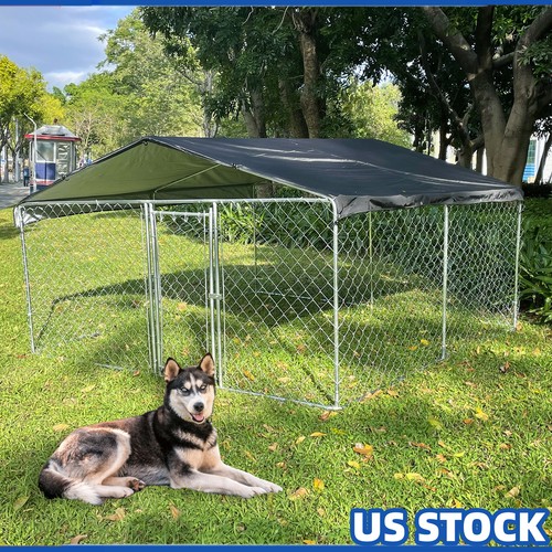 10x10 pet dog - 10x10, ft