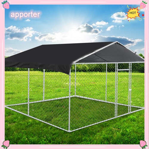 Outdoor pet dog - outdoor, run