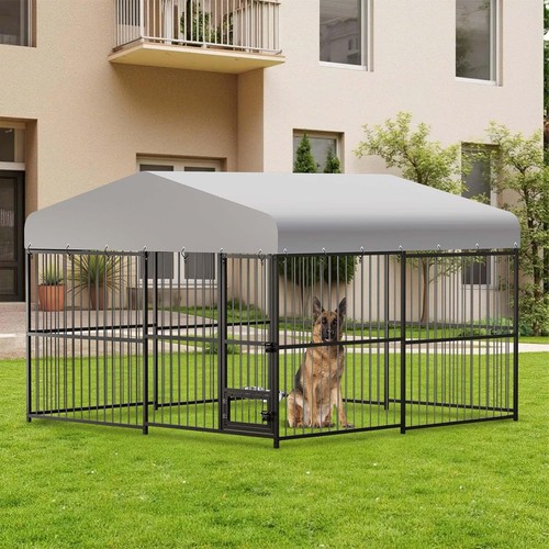 Outdoor pet dog run - outdoor, house