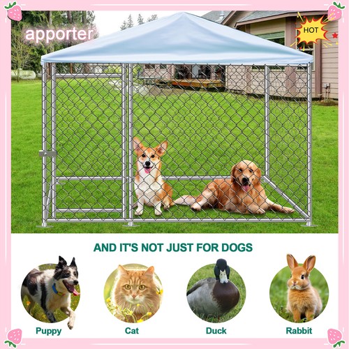 Yamissi outdoor pet dog - yamissi,