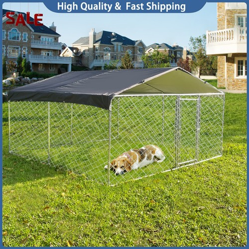 Outdoor pet dog - pet, ft