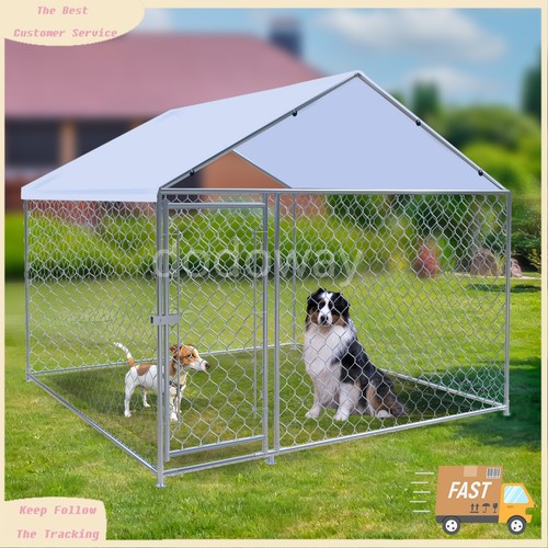 Large outdoor pet dog - large,
