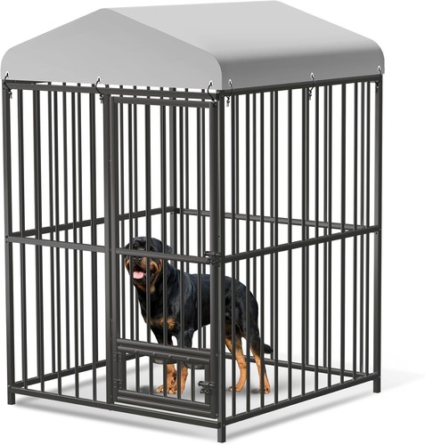 Outdoor pet dog run - dog, house