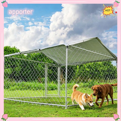 Yamissi outdoor pet dog - outdoor,