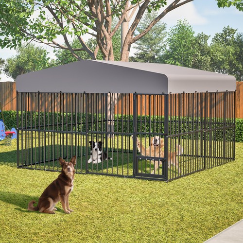 10x10ft outdoor pet dog run - outdoor,