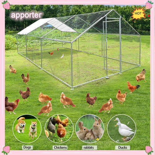 20x10 outdoor pet - outdoor, dog