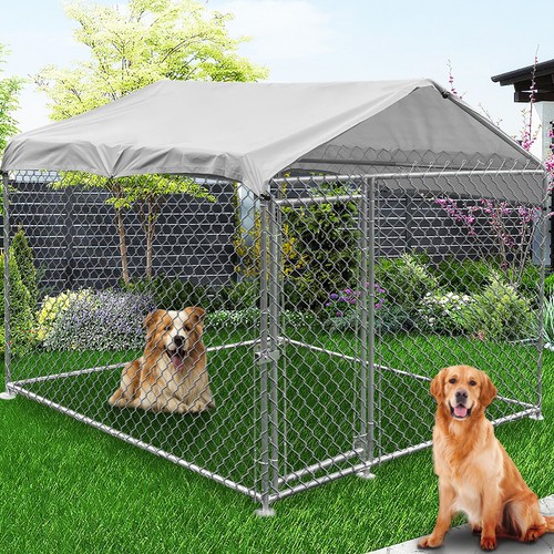 Outdoor pet dog duck rabbit - outdoor,